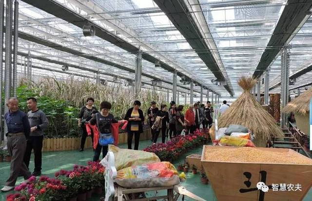 休闲观光视角下的观光农业生态园规划与设计