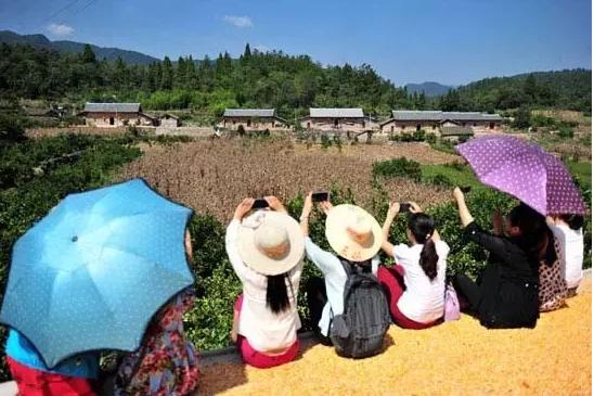 大揭秘！休闲观光牧场 8大案例、5大模式与休闲观光活动全解析