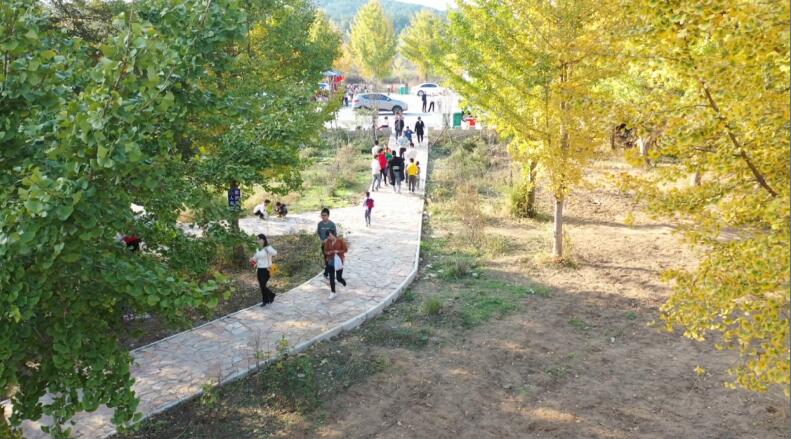 真抓实干兴产业 休闲观光绘新篇——红安推动党的二十大精神走深走实